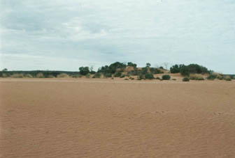 mungo 3 location